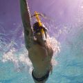 Trainieren, um ein besserer Schwimmer zu werden
