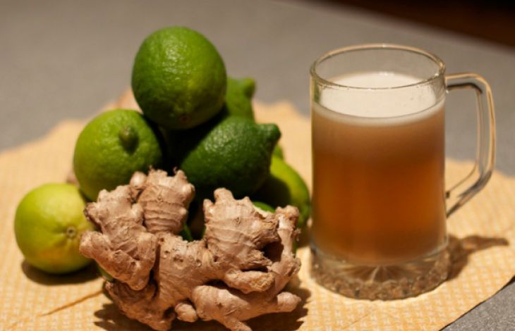 Ginger Ale selber herstellen