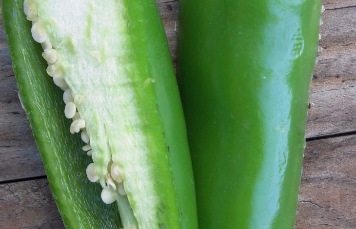 Jalapeños einlegen