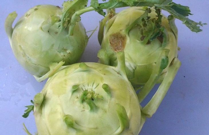 Stängelkohl zubereiten
