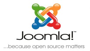 Joomla Webseite einrichten