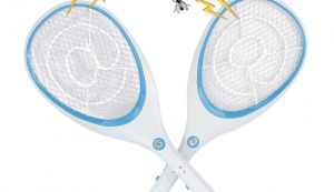 Die Fliegenklatsche in Aktion