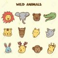 Löwe und Nashorn im Cartoon Stil zeichnen